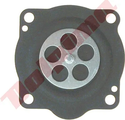 Imagen del producto de Conjunto de membranas para Teikei TK 4