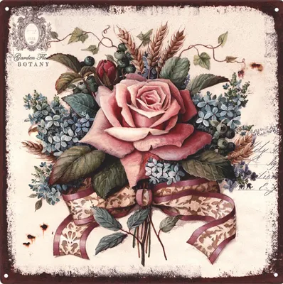 Produktbild von Moritz Retro Deko Blechschild Botany Rosa Rose Geschenk-Idee aus Metall Vintage-Design zur Dekoration
