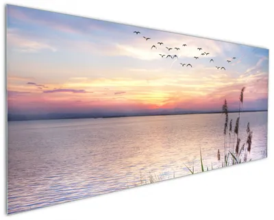 Produktbild von Wallario Küchenrückwand aus Glas, Größe: 125 x 50 cm, Motiv: Seepanorama mit Schilf und fliegenden Vögeln | Spritzschutz | abwischbar | pflegeleicht | in