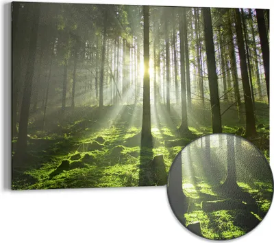 Produktbild von DEQORI Magnettafel Metall 60x40 cm 'Waldlichtspiele' Whiteboard Pinnwand Magnetboard Büro