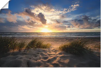 Produktbild von ARTland Poster Ostseestrand Größe: 90x60 cm