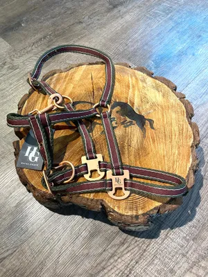 Image de HorseGuard licol rayé dark port , Taille:Poney
