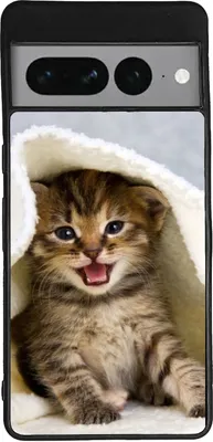 Produktbild von TPU Silikon Hülle für Google Pixel 7 Handy Cover Case Schutzhülle Handyhülle Bumper MOTIV 271 Katze Kätzchen Kitten
