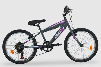 Produktbild von Pilot Bike 20 Zoll, Kinder Mountainbike, 6-Gang Shimano Schalthebel, Stahlrahmen, V-Brakes
