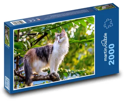Zdjęcie produktu dla martinpuzzle - Puzzle 2000 - "Mazlíček" - kot na drzewie