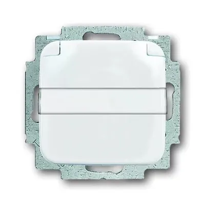 Zdjęcie produktu dla Busch-Jaeger 4011395122976, Typu F, 2P+E, Biały, 250 V, 16 A