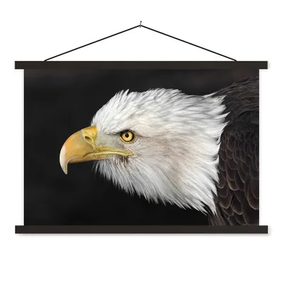 Produktbild von MuchoWow® Textilposter Adler - Vogel - Schnabel - Augen 60x40 cm mit schwarzem Rahmen - Hölzernes