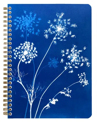 Produktbild von Clairefontaine 4x Notizbuch Spiralbindung A5 74 Blatt liniert sortiert 83504C