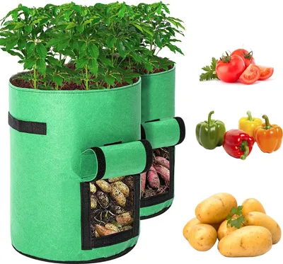 Produktbild von 2 Stück Pflanztasche Kartoffel Tomaten Erdnüsse Gemüse Pflanzsack Pflanzbeutel mit Sichtfenster und Griffen (30x35cm, Grün)