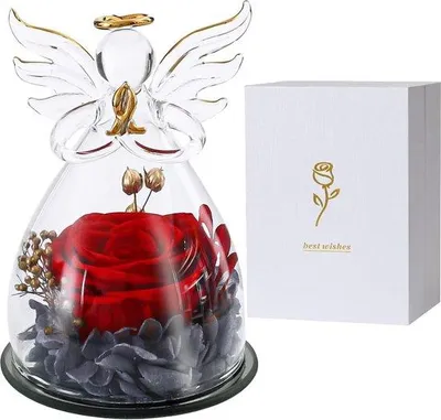 Produktbild von Famanu Ewige Rose in Glas - Rot