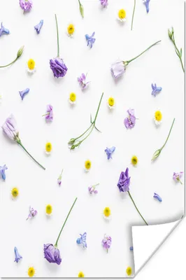 Produktbild von MuchoWow® Poster Blumen - Collage - Pastell 120x180 cm - Kunstposter