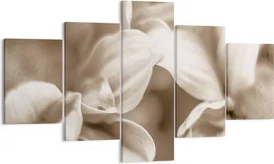 Produktbild von Bild auf Leinwand - Leinwandbild - 5 Teile - Blumen Boho ohne - 125x70cm - Wand Bild - Wanddeko - Wandbilder - Leinwanddruck - Bilder - Wanddekoration - Leinwand bilder - Wandbild - EA125x70-4767
