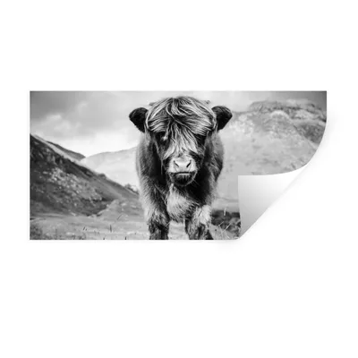 Produktbild von MuchoWow® Wandtattoo Wandsticker Wandaufkleber Schottischer Highlander - Berg - Schwarz - Weiß 160x80 cm Selbstklebend und Repositionierbar - Sticker - Dekorfolie
