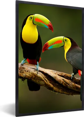 Produktbild von MuchoWow® Gerahmtes Poster Vögel - Tukan - Zweig - Tiere - Regenbogen 20x30 cm - Poster mit Schwarzem Bilderrahmen Wandposter Rahmen Foto Bilder - Drucken - Bilder Poster im Rahmen