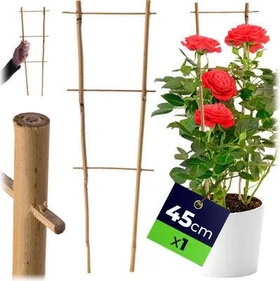 Productafbeelding van KADAX Bamboe klimrek, 45 x 16 cm, 1 stuk, klimhulp voor planten, plantenrek, klimondersteuning en plantensteun voor kamerplanten en klimplanten