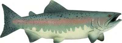 Produktbild von Safari Ltd Salmon Multicolor One Size