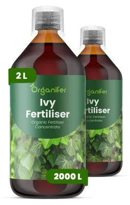 Obrázok produktu pre Brečtan – Tekuté hnojivo 2x1 L – NPK 2-1-8 – Pre okrasné druhy brečtanu – Podporuje silné výhonky a zdravé listy – Organický produkt