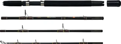 Produktbild von WFT Reisesrute Oceanic Pro Tidecutter