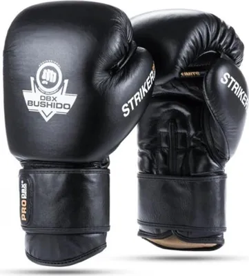 Image de Gants de boxe Bushido 12 OZ DBX Striker