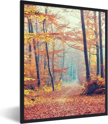 Produktbild von MuchoWow® Gerahmtes Poster Wald - Herbst - Laub 60x80 cm - Poster mit Schwarzem Bilderrahmen Wandposter Rahmen Foto Bilder - Premium - Wanddeko Wohnzimmer