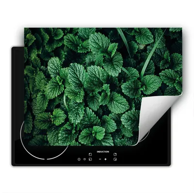 Produktbild von DarHaus Herdabdeckplatte 80x52 cm Anti Rutsch Matte Aufrollbar, grün - Minze