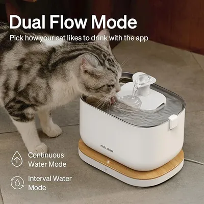 Immagine prodotto di Petlibro Dockstream Smart fontanella d'acqua bianca