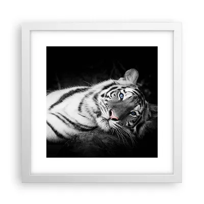 Produktbild von Gerahmtes Poster - Weißer Rahmen - Weiß Tiger Schwarz und Weiß - 30x30 cm - Wand Bild - Wanddeko - Wandbilder - Wandposter - Bilderrahmen - Bilder - Kunstdruck - Wandbild - P2WAC30x30-4247