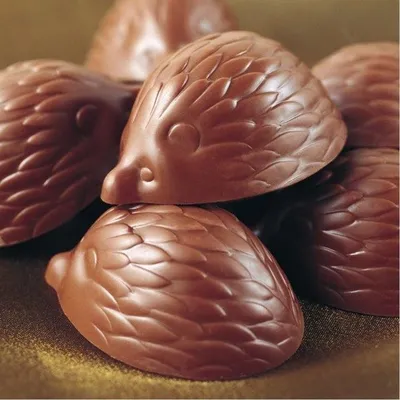 Produktbild von Schokoladenform Pralinenform Mini-Desserts IGEL Layout 2x6=12 Mulden Robust + Stossfest CHOCOLATE WORLD