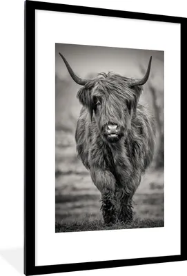 Produktbild von MuchoWow® Gerahmtes Poster Schottischer Highlander - Schwarz und Weiß 60x90 cm - Poster mit Schwarzem Bilderrahmen Wandposter Rahmen Foto Bilder - Dekoration - Wandposter Wohnzimmer - Hochwertig