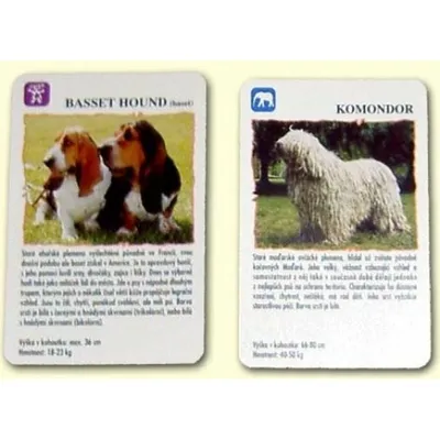 Produktbild von Quartett - Hunde (Kunststoffbox)