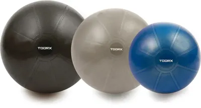 Produktbild von Toorx Fitness Gymnastikball PRO - 500 kg - Fitnessball - Stabilitätsball - 55 cm – Blau