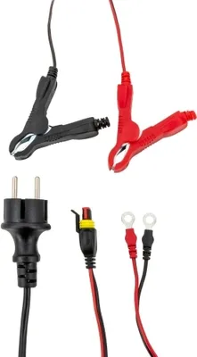 Image de GYS Chargeur de batterie pour voiture Chargeur de batterie 6B - 0.8AA Max pour voiture Camion Moto