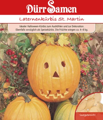 Artikelbild 1 von 'Laternenkürbis St. Martin' aus der Kategorie Halloweenkürbissamen