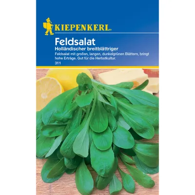 Produktbild von Feldsalat Holländischer breitblättriger | Feldsalatsamen von Kiepenkerl