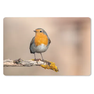 Produktbild von MuchoWow® Schreibtischunterlage Rotkehlchen - Vogel - Zweig - Tiere 60x40 cm - XXL Mauspad - Großes Mauspad