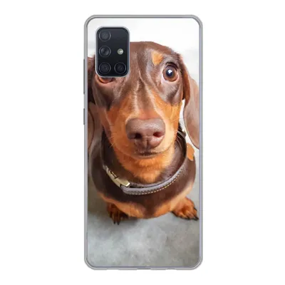 Produktbild von MuchoWow® Handyhülle Schutzhülle Hülle für Samsung Galaxy A71 Nahaufnahme des Kopfes eines Dackels Silikon Softcase Handy Hülle - Kartenbesitzer