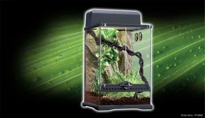 Produktbild von Exo Terra Tropisches Terrarium Kleines Lebensraum-set Grün 30 x 30 x 45 cm Grün 30 x 30 x 45 cm