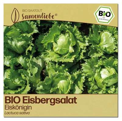 Produktbild von Samenliebe  Salat Samen | Eiskönigin - knackig - samenfestes  Saatgut