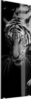 Produktbild von DEQORI Kleiderhaken aus Glas 50x125 cm 'Pirschender Tiger' Wand Garderobe Paneel Haken