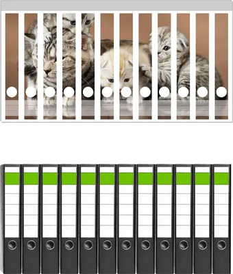 Produktbild von Wallario 12 Stück schmale Ordner inkl. Klebeetiketten mit Motive Katzenfamilie -  Set mit Rückenschildern / Ordnerrücken Stickern