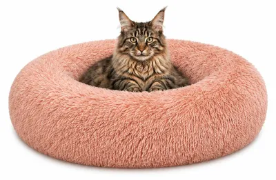 Produktbild von lionto Donut Katzenkissen, rundes Bett mit Plüschbezug & Anti-Rutsch-Boden, erhöhter Rand für Geborgenheit, 60 cm Durchmesser, rosa