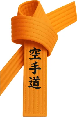 Produktbild von Karategürtel Orange bestickt - Karate Do Schriftzeichen japanisch - Orangegurt mit Kanji Bestickung - 260 cm Länge
