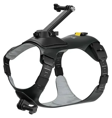 Zdjęcie produktu dla Insta360 CINSBAVW, Mocowanie kamery, 420 g, Czarny