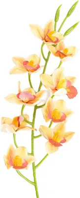 Produktbild von HOMLA Künstlicher Zweig ORKID Orchidee gelb 109 cm