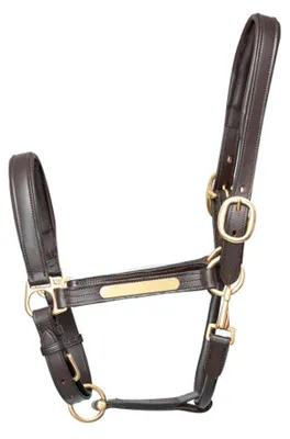 Produktbild von Hy Leder-Halfter TL6605 (Pony) (Braun)