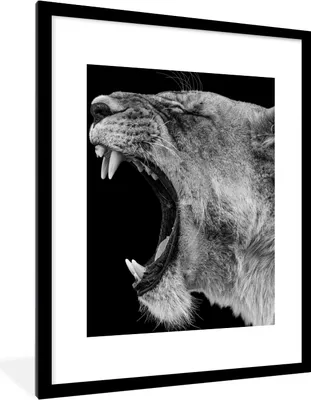 Produktbild von MuchoWow® Gerahmtes Poster Tiere - Löwe - Schwarz - Weiß - Porträt 60x80 cm - Poster mit Schwarzem Bilderrahmen Wandposter Rahmen Foto Bilder - Wohnzimmer - Dekorationen - Prämie