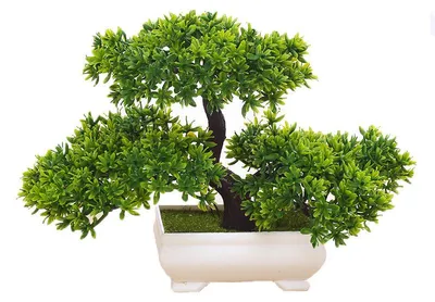Produktbild von Künstlicher Bonsai-Kiefer für Büro / Fensterbank / Garten