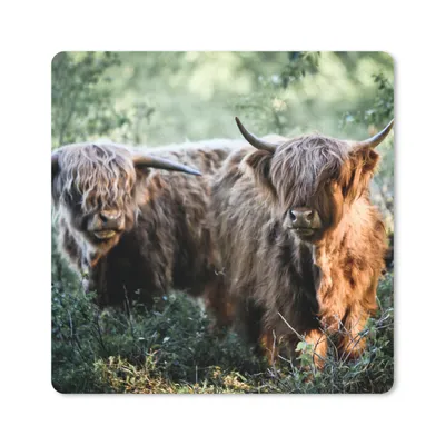 Produktbild von MuchoWow® Mauspad Mousepad Schottische Highlander - Wald - Tiere 20x20 cm - Mousepads - Maus Mat - Pad - Mausunterlage - Desk Mat - Bureauartikeln