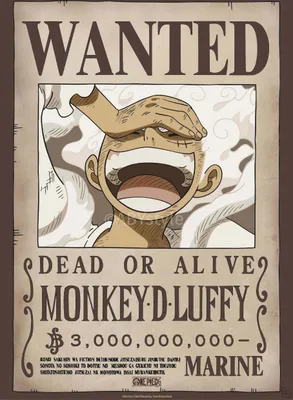 Image de Poster One Piece : Wanted Luffy Wano (52 x 38 cm)