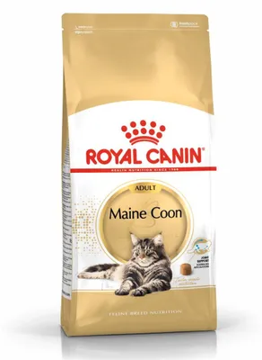 Zdjęcie produktu dla Royal Canin Maine Coon, Dorosły, Maine Coon, Podroby, 2 kg, Zawiera przeciwutleniacze